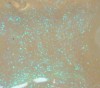 Esmalte permanente UV tornasol 