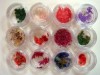 Set de 12 flores secas surtidas para uñas