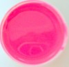 Esmalte las uñas con Gel