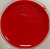 Gel UVRojo Sangre  para uñas de Gel