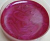 Color de gel para lucir manos bellas