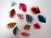 Decore las uñas con plumas colores surtidos